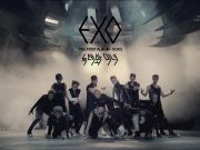 EXO「狼と美女 / 늑대와 미녀 / Wolf」歌詞で学ぶ韓国語
