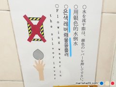 トイレでよく見かける注意書き（銀色のレバーで水流せ）
