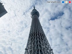 東京スカイツリー 도쿄 스카이트리 Tokyo Skytree