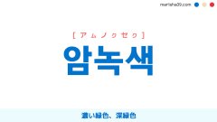 韓国語ハングル 암녹색 [アムノクセク] 濃い緑色、深緑色 意味・活用・読み方と音声発音