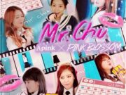 A pink「Mr. Chu」歌詞で学ぶ韓国語