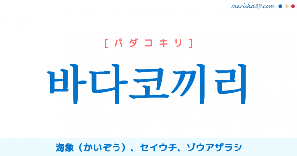 韓国語単語勉強 고래 コレ クジラ 鯨 くじら 意味 活用 読み方と音声発音 韓国語勉強marisha