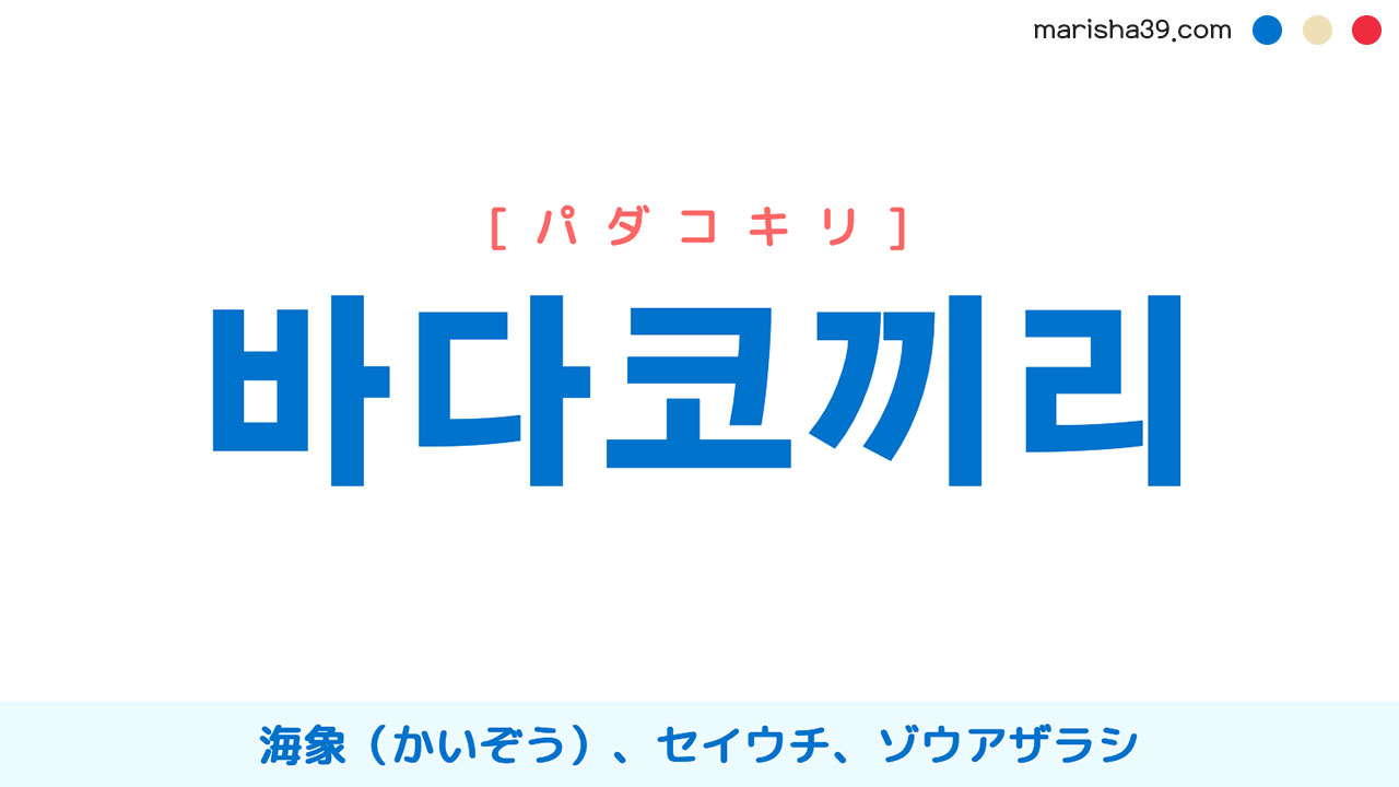 韓国語単語 바다코끼리 パダコキリ 海象 セイウチ ゾウアザラシ 意味 活用 読み方と音声発音 韓国語勉強marisha