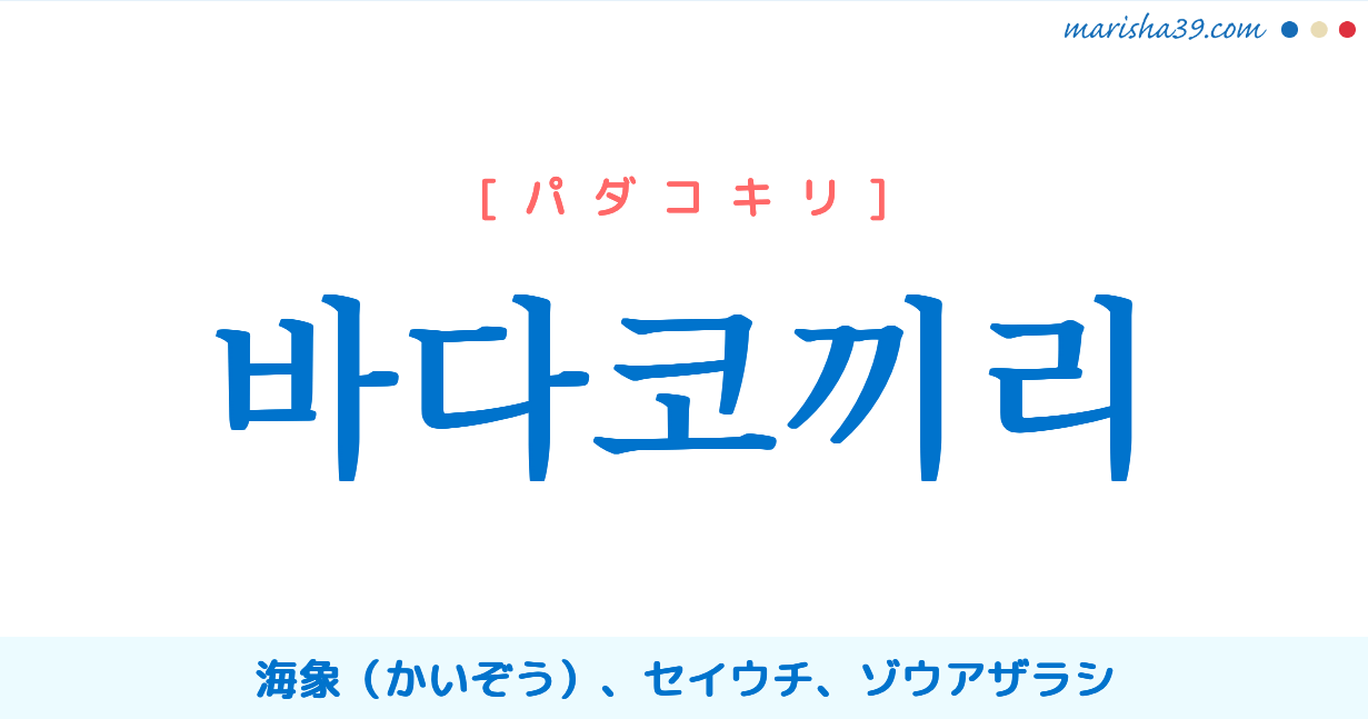 韓国語単語勉強 바다코끼리 パダコキリ セイウチ ゾウアザラシ 意味 活用 読み方と音声発音 韓国語勉強marisha