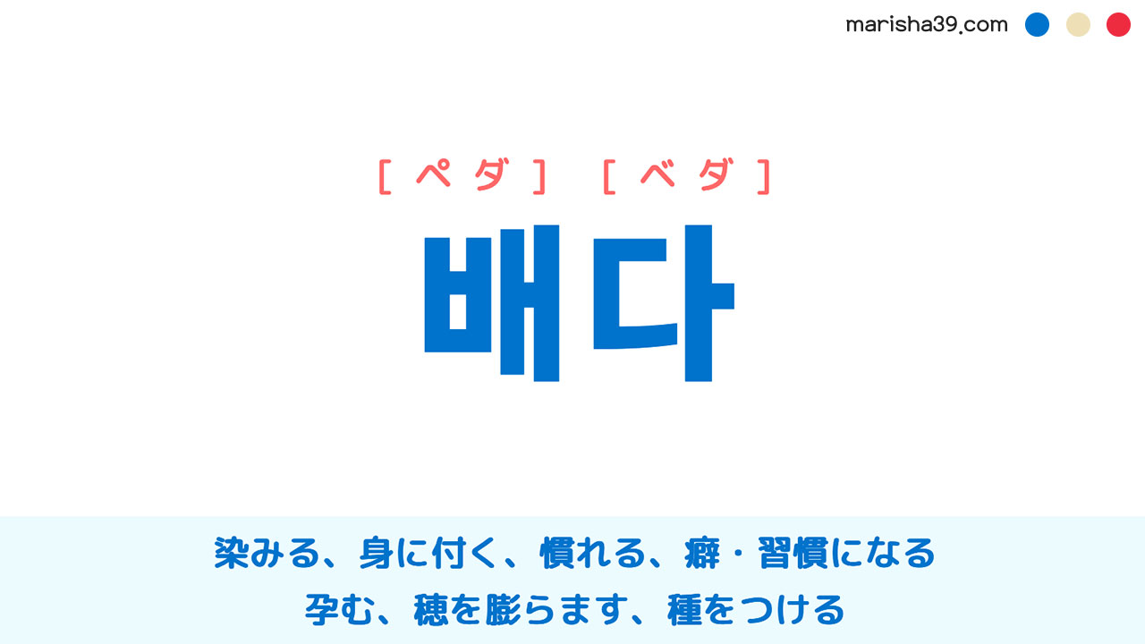 韓国語ハングル 배다 [ペダ] [ベダ] 染み込む、染み付く、染みる、身に付く、慣れる、癖・習慣になる、孕む、穂を膨らます、種をつける 意味・活用・表現例と音声発音