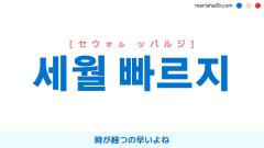韓国語表現【세월 빠르지】時が経つの早いよね [セウォル ッパルジ] 歌詞で勉強