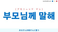 韓国語表現を歌詞で勉強【부모님께 말해】とは？お父さんお母さんに言う [プモニムッケ マレ]