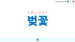 韓国語ハングル 벚꽃 [ポッコッ] 桜 意味・活用・読み方と音声発音