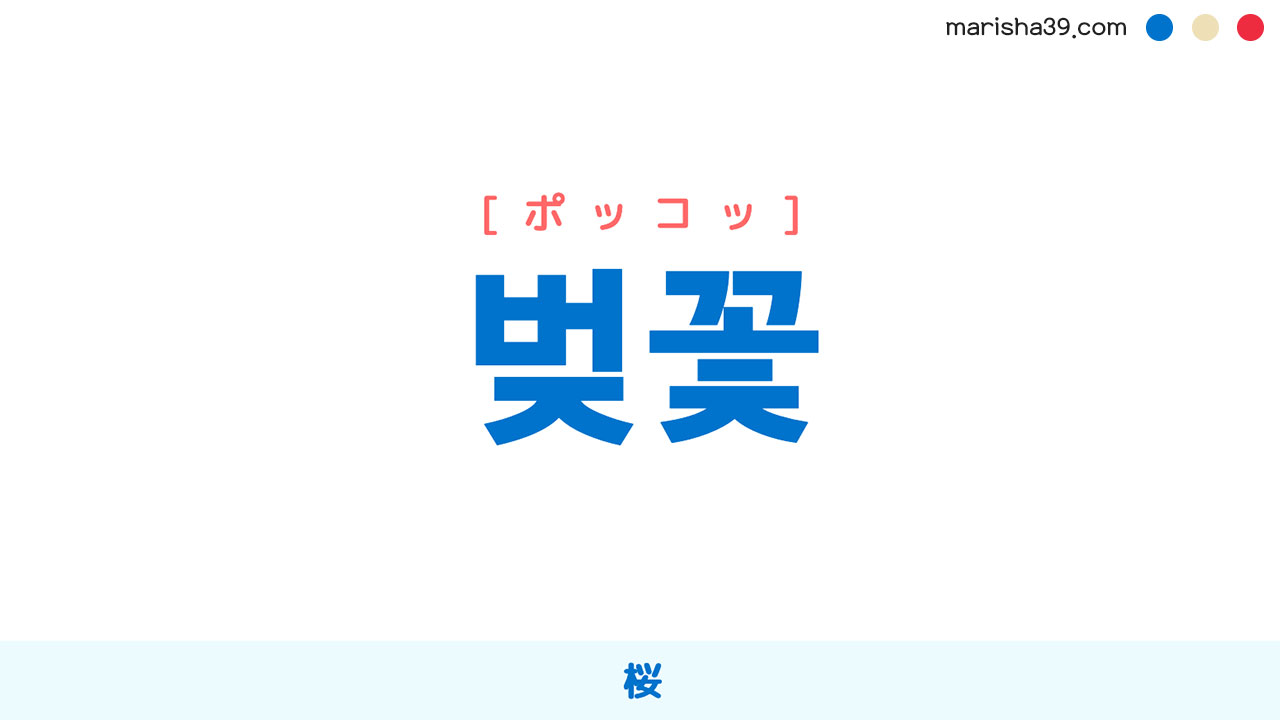 韓国語ハングル 벚꽃 [ポッコッ] 桜 意味・活用・読み方と音声発音