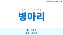 韓国語ハングル 병아리 [ピョンアリ] 雛、ひよこ、新米、初心者 意味・活用・表現例と音声発音