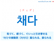 韓国語単語 채다 [チェダ] 気づく、感づく、急に強く引っ張る、ぐいっと引き寄せる、‘차다’の被動詞（차이다）蹴られる、振られる 意味・活用・読み方と音声発音