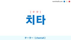 韓国語ハングル 치타 [チタ] チーター（cheetah） 意味・活用・表現例と音声発音