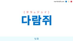 韓国語ハングル 다람쥐 [タラムジュイ] リス 意味・活用・表現例と音声発音