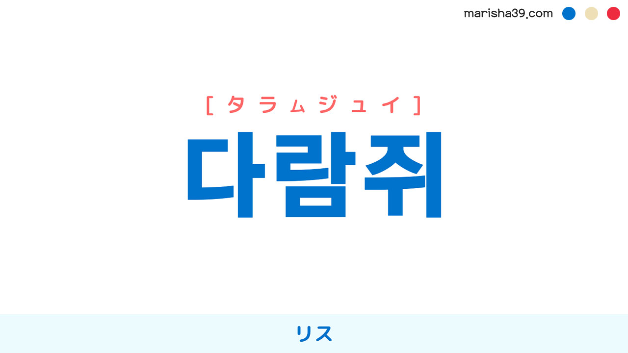 韓国語ハングル 다람쥐 タラムジュイ リス 意味 活用 表現例と音声発音 韓国語勉強marisha