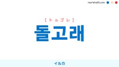 韓国語ハングル 돌고래 [トルゴレ] イルカ、ドルフィン 意味・活用・表現例と音声発音