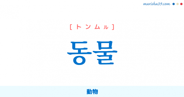 韓国語単語勉強 동물 [トンムル] 動物 意味・活用・読み方と音声発音