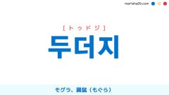 韓国語ハングル 두더지 [トゥドジ] モグラ、鼹鼠（もぐら） 意味・活用・読み方と音声発音