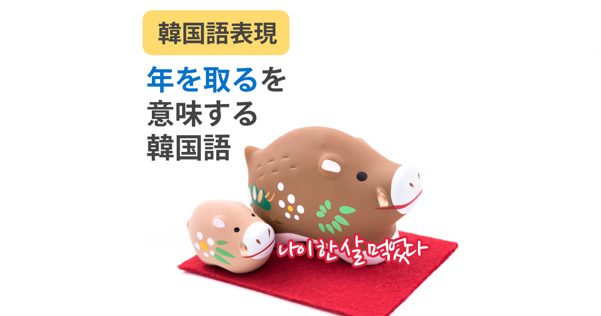 「年を取る」を意味する韓国語★나이를 먹다 / 나이가 들다 / 연세 / 잡수다 / 드시다