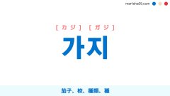 韓国語単語勉強 가지 [カジ] [ガジ] 茄子、枝、種類、種 意味・活用・読み方と音声発音