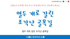韓国語表現を歌詞で勉強【열두 개로 갈린 조각난 골목길】とは？12個に分かれた小道 [ヨルトゥゲロ カゥリン チョガッナン コルモッキル]