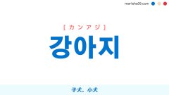 韓国語単語勉強 강아지 [カンアジ] 子犬、小犬 意味・活用・読み方と音声発音