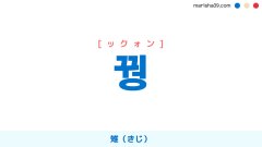 韓国語ハングル 꿩 [ックォン] 雉（きじ） 意味・活用・表現例と音声発音