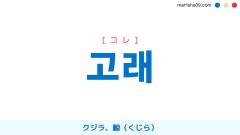 韓国語ハングル 고래 [コレ] クジラ、鯨（くじら） 意味・活用・表現例と音声発音