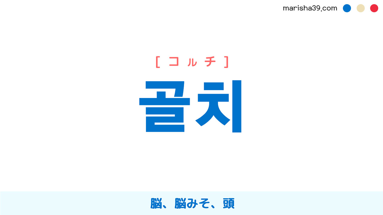 韓国語単語勉強 골치 [コルチ] 脳、脳みそ、頭 意味・活用・読み方と音声発音