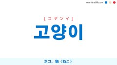 韓国語単語・ハングル 고양이 [コヤンイ] 猫（ねこ）、ネコ 意味・活用・読み方と音声発音