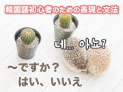 〜ですか?はい、いいえ | 韓国語初心者のための表現と文法