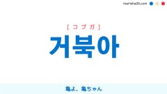 韓国語表現を歌詞で勉強【거북아】亀よ、亀ちゃん [コブガ]