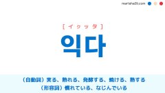 韓国語単語勉強 익다 [イクッタ] 実る、熟れる、焼ける、熟する、慣れている 意味・活用・読み方と音声発音