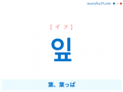 韓国語単語・ハングル 잎 [イプ] 葉、葉っぱ 意味・活用・読み方と音声発音