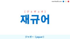 韓国語ハングル 재규어 [ジェギュオ] ジャガー（jaguar）、アメリカヒョウ 意味・活用・表現例と音声発音