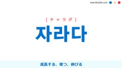 韓国語単語勉強 자라다 [チャラダ] 成長する、育つ、伸びる 意味・活用・読み方と音声発音