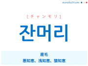 韓国語単語 잔머리 [チャンモリ] 産毛、悪知恵、浅知恵、猿知恵 意味・活用・読み方と音声発音