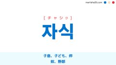 韓国語単語勉強 자식 [チャシク] 子息、子ども、倅、奴、野郎 意味・活用・読み方と音声発音