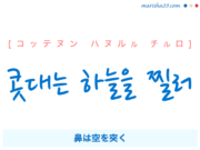 韓国語で表現 콧대는 하늘을 찔러 [コッテヌン ハヌルル チルロ] 鼻は空を突く 歌詞から学ぶ