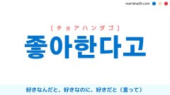 韓国語表現【좋아한다고】好きなんだと、好きなのに、好きだと（言って） [チョアハンダゴ] 歌詞で勉強