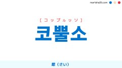 韓国語ハングル 코뿔소 [コップルッソ] サイ、犀（さい） 意味・活用・表現例と音声発音