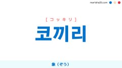 韓国語ハングル 코끼리 [コッキリ] 象（ぞう） 意味・活用・読み方と音声発音
