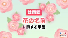 韓国語単語帳 花の名前