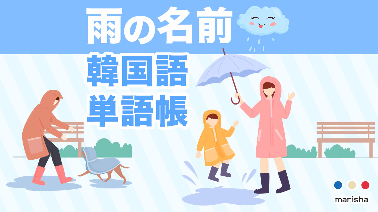 雨の種類に関する韓国語単語帳