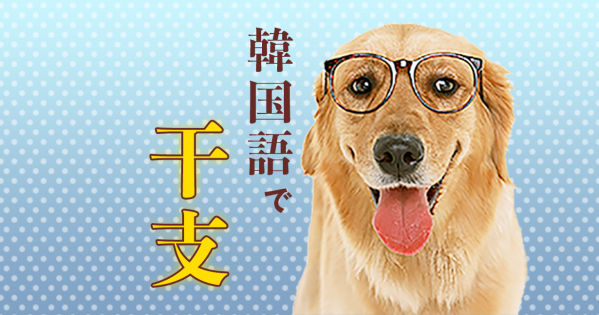 動物の名前 ほ乳類 と読み方 発音 漢字と英語も一緒にまとめました 動画で発音も聞けます 韓国語勉強marisha