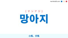 韓国語ハングル 망아지 [マンアジ] 小馬、仔馬、こうま 意味・活用・表現例と音声発音