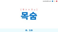 韓国語ハングル 목숨 [モクッスム] 命、生命 意味・活用・表現例と音声発音