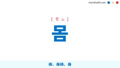 韓国語単語勉強 몸 [モム] 体、身体、身 意味・活用・読み方と音声発音