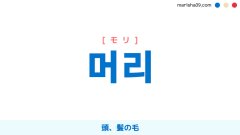 韓国語ハングル 머리 [モリ] 頭、髪の毛 意味・活用・表現例と音声発音