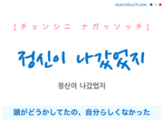 韓国語で表現 정신이 나갔었지 [チョンシニ ナガッソッチ] 頭がどうかしてたの、自分らしくなかった、どうかしてた 歌詞で勉強