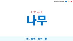 韓国語ハングル 나무 [ナム] 木、樹木、材木、薪 意味・活用・読み方と音声発音